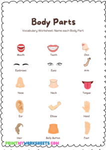 Kindergarten Science Body Parts Worksheet for Kids -Free Downloadable ...