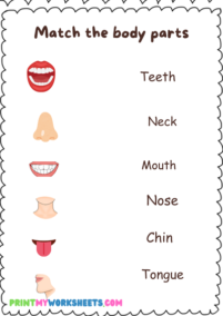 Kindergarten Science Body Parts Worksheet for Kids -Free Downloadable ...