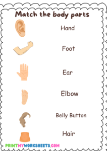 Kindergarten Science Body Parts Worksheet for Kids -Free Downloadable ...