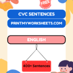 2nd Grade CVC Word Hunt Worksheets PDF – Phonics Word Search Practice Pack 7 Kindergarten CVC Reading Sentences Worksheets PDF