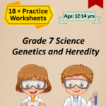 7th Grade Genetics and Heredity Worksheets PDF