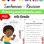 6th Grade CVC Words in Sentences Worksheets PDF