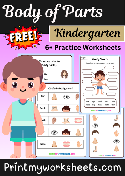 Kindergarten Body Parts Worksheets PDF Free
