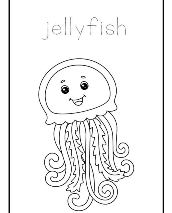 Kindergarten Coloring Book Bundle Worksheets | Downloadable PDF